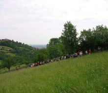 Le colline home