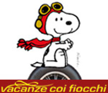 Vacanze coi Fiocchi home piccola