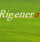 Rigenera top piccola