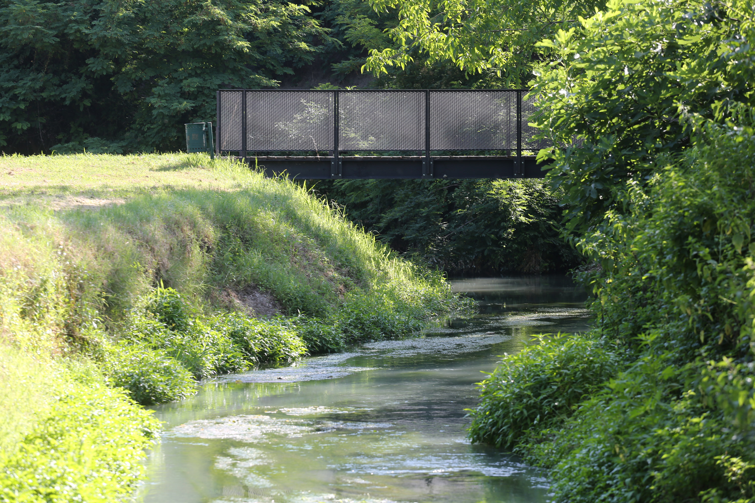 foto Alessandro Ruggeri per Fondazione del Monte 9