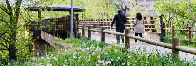 Parco dei Cedri, ponte, foto articolo