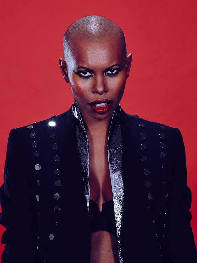 20_3015 SKUNK ANANSIE FOTO2