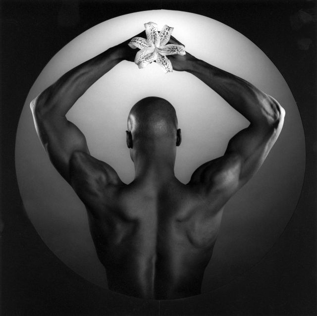 mapplethorpe look at the pictures dogwoof documentary 11