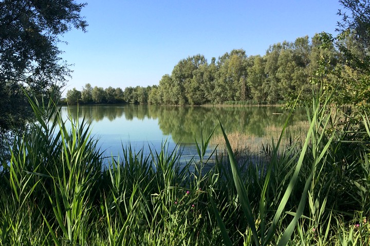 Area di riequilibrio ambientale di Baricella