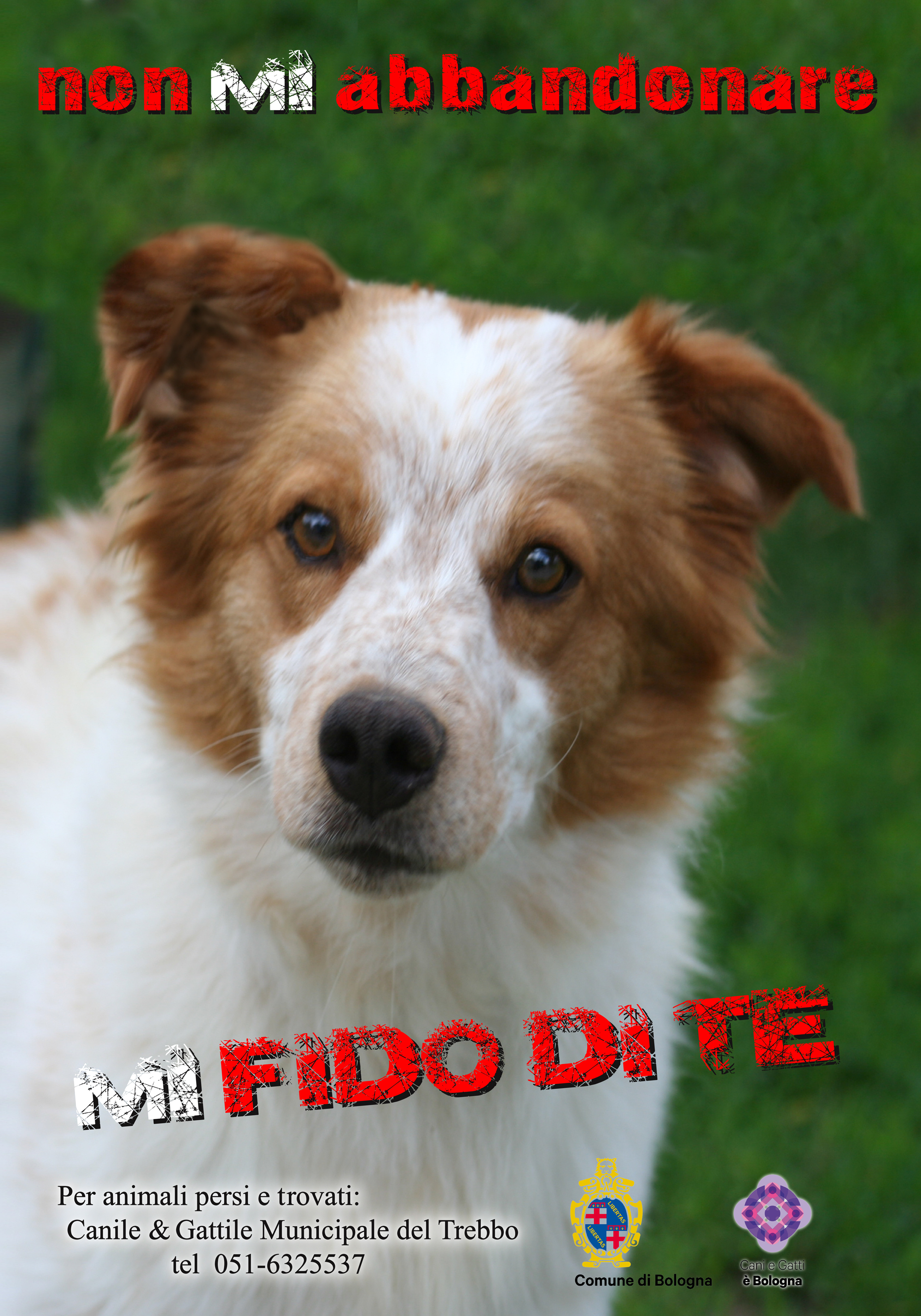 130001923---manifesto_cane_70x100