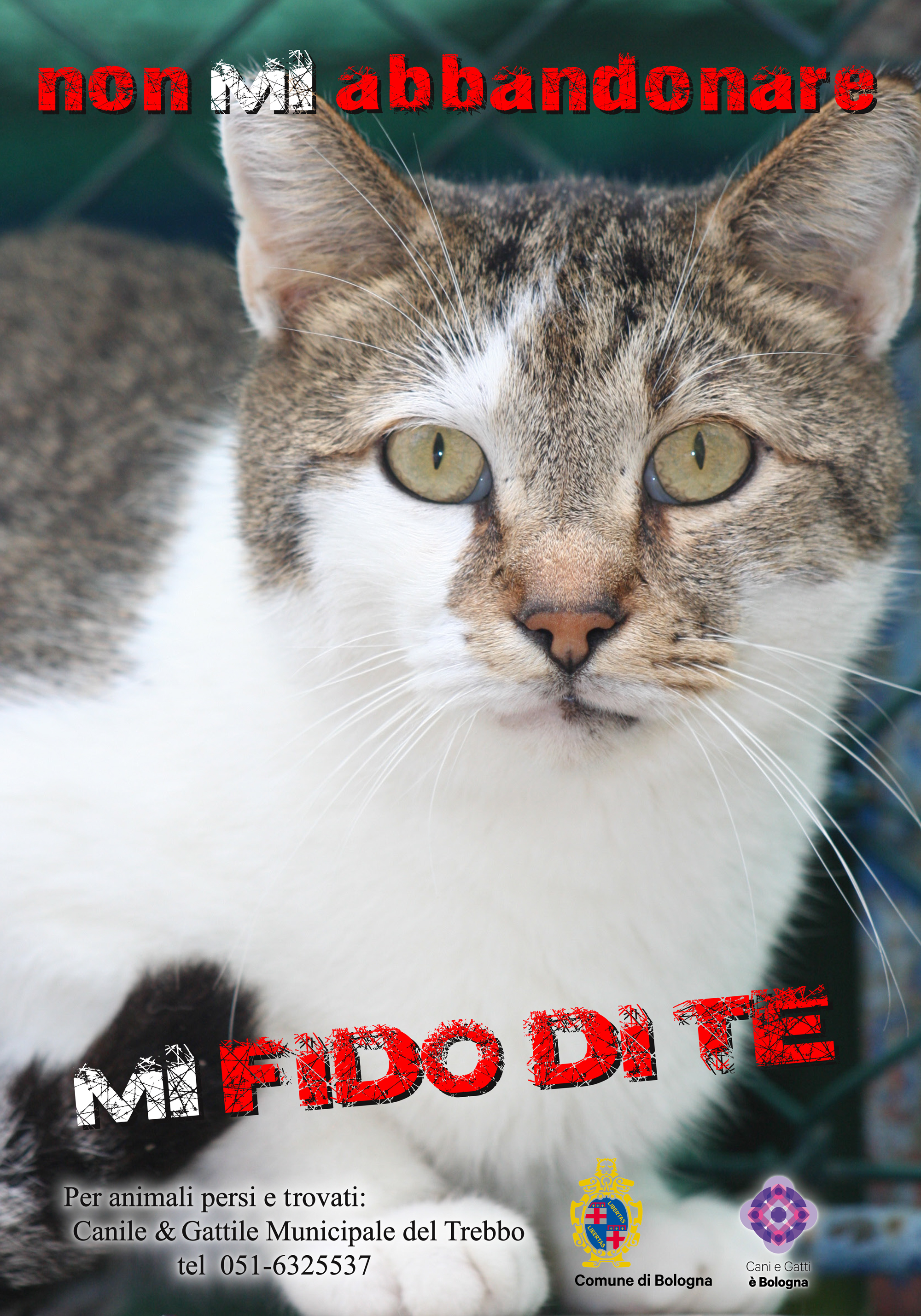 130001924---manifesto_gatto_70x100