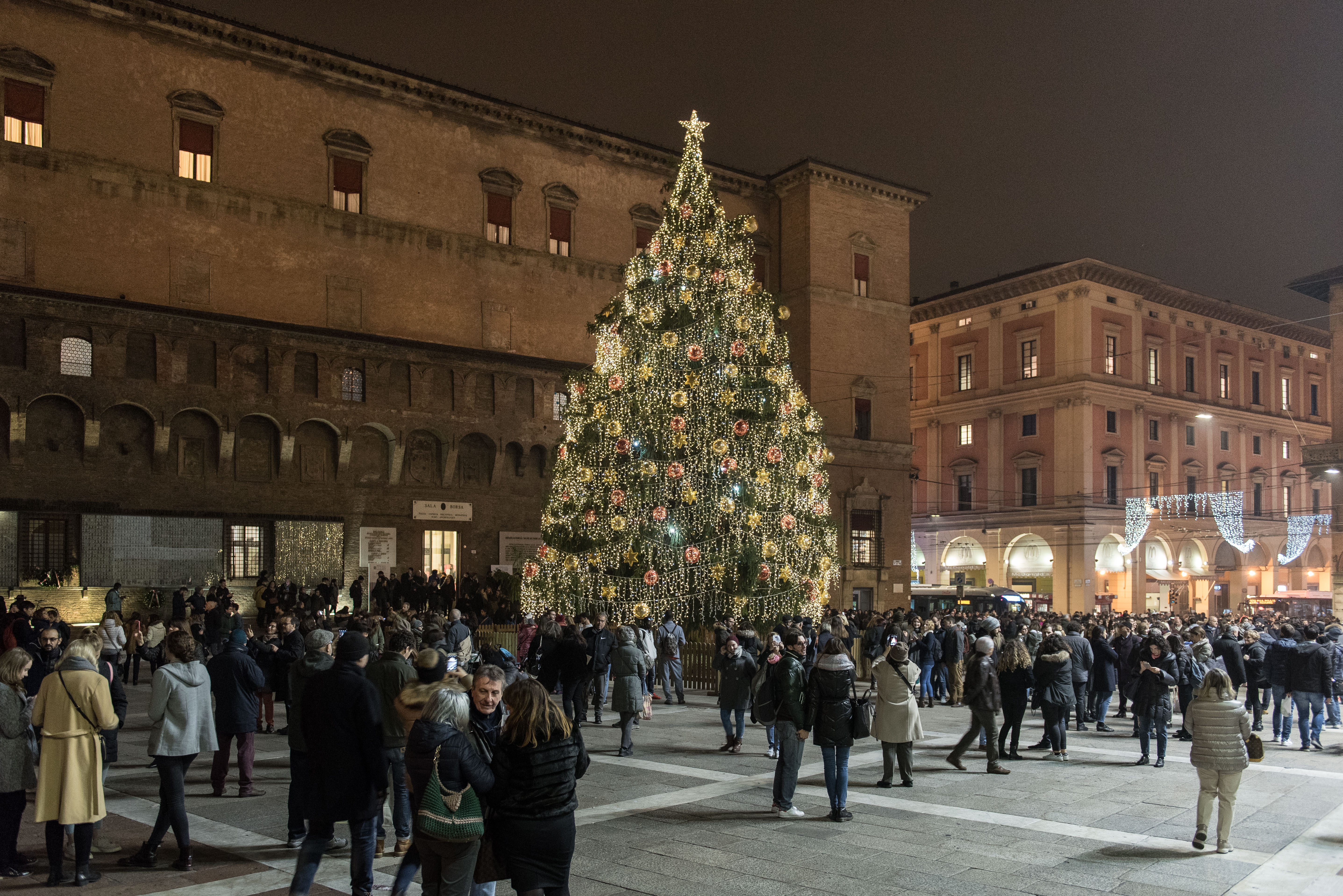 142_24112017_Albero_Natale_N