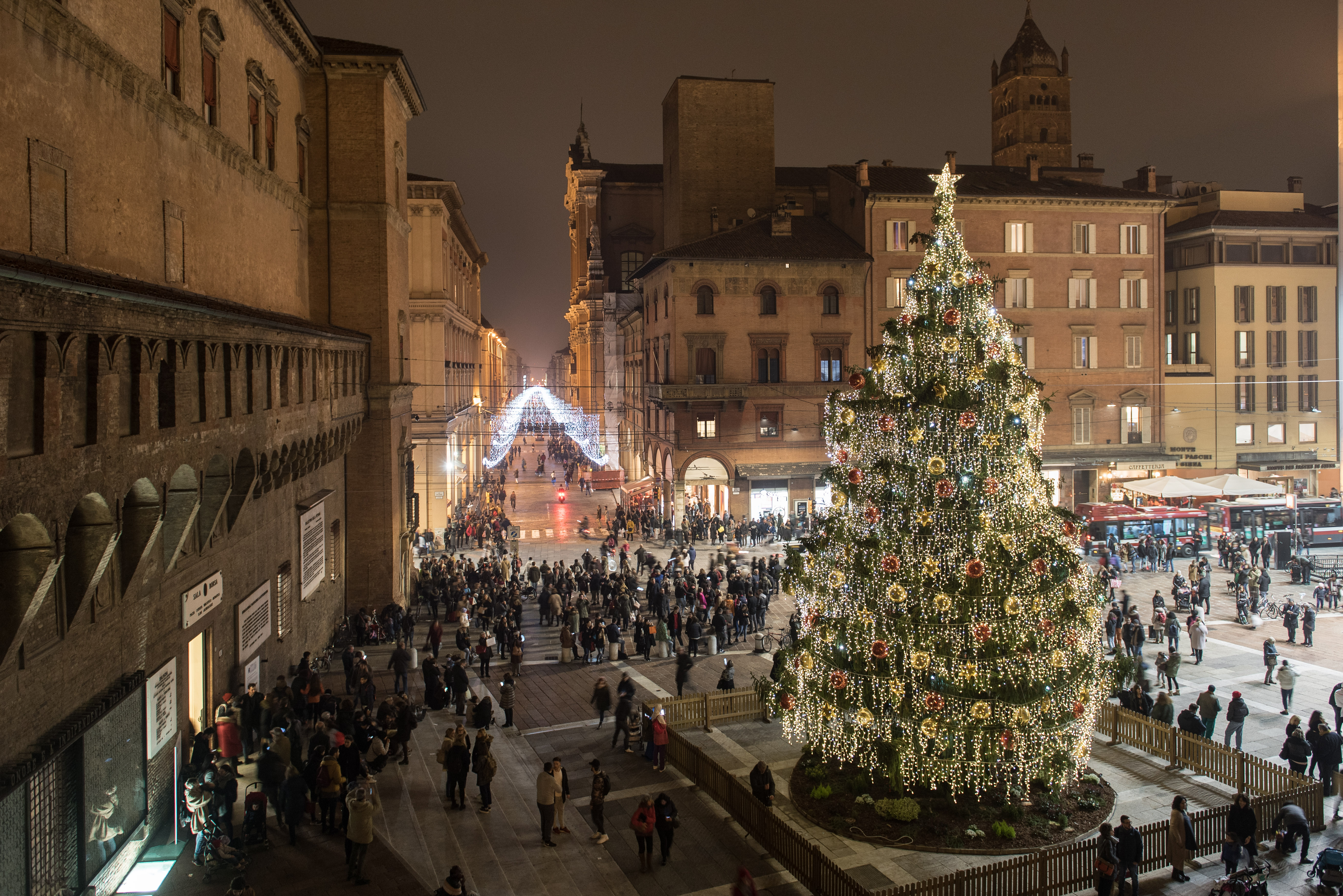 151_24112017_Albero_Natale_N