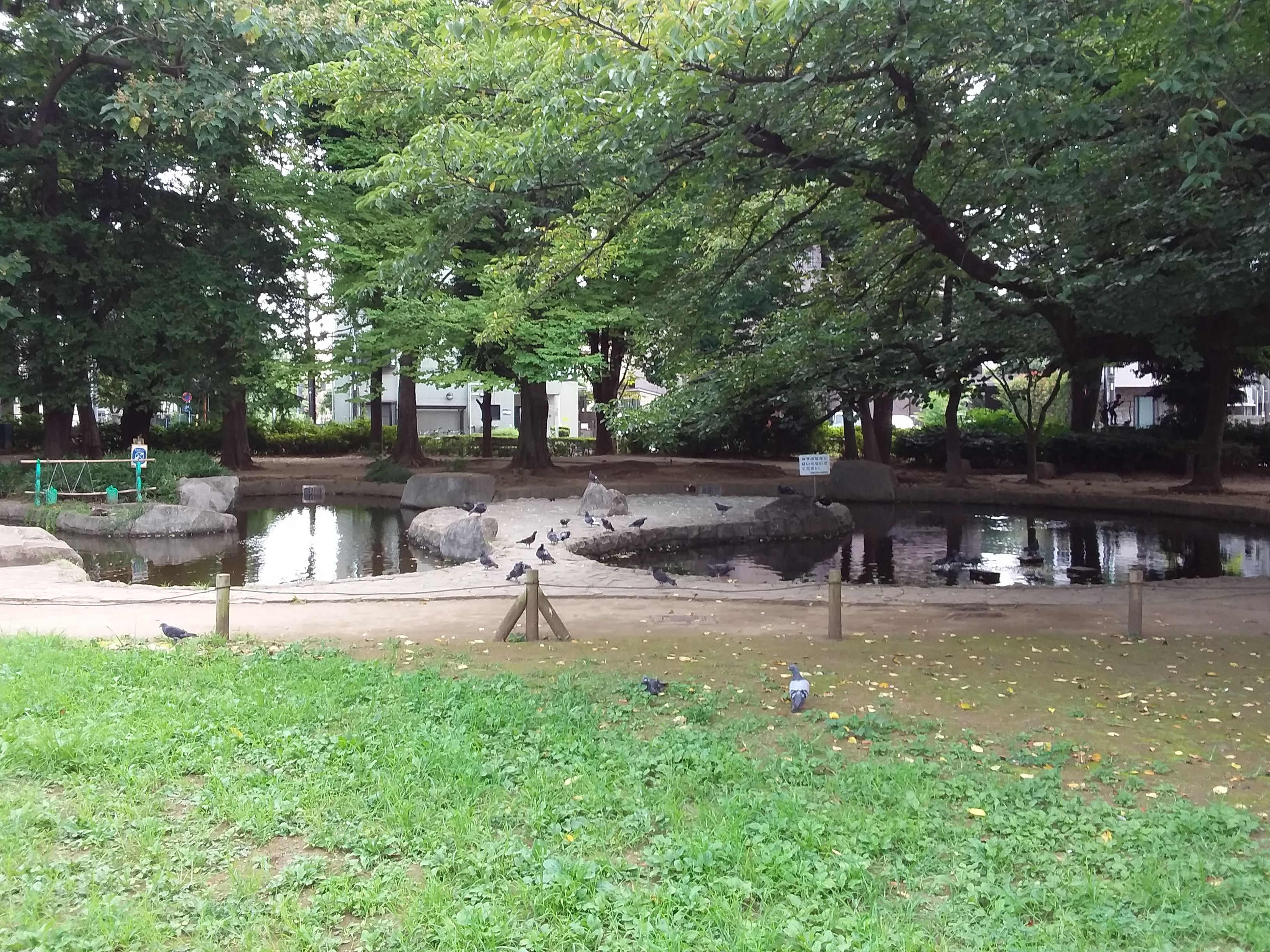 parco-della-pace-itabashi