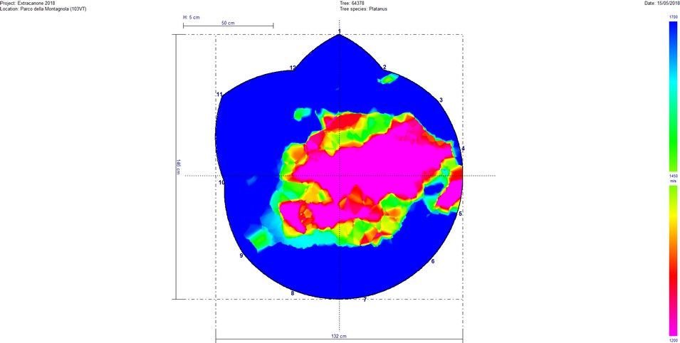 Tomografia platano Montagnola