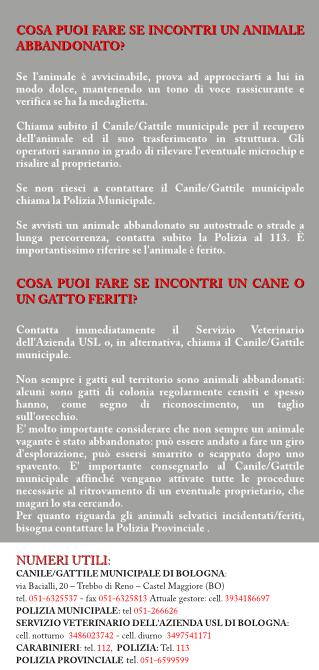 cane-Pagina002