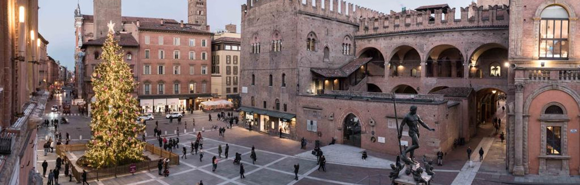 Albero di Natale in piazza Nettuno foto Giorgio Bianchi per Comune di Bologna top