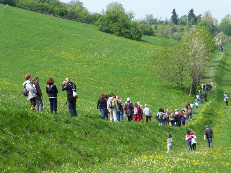 Escursioni in collina2