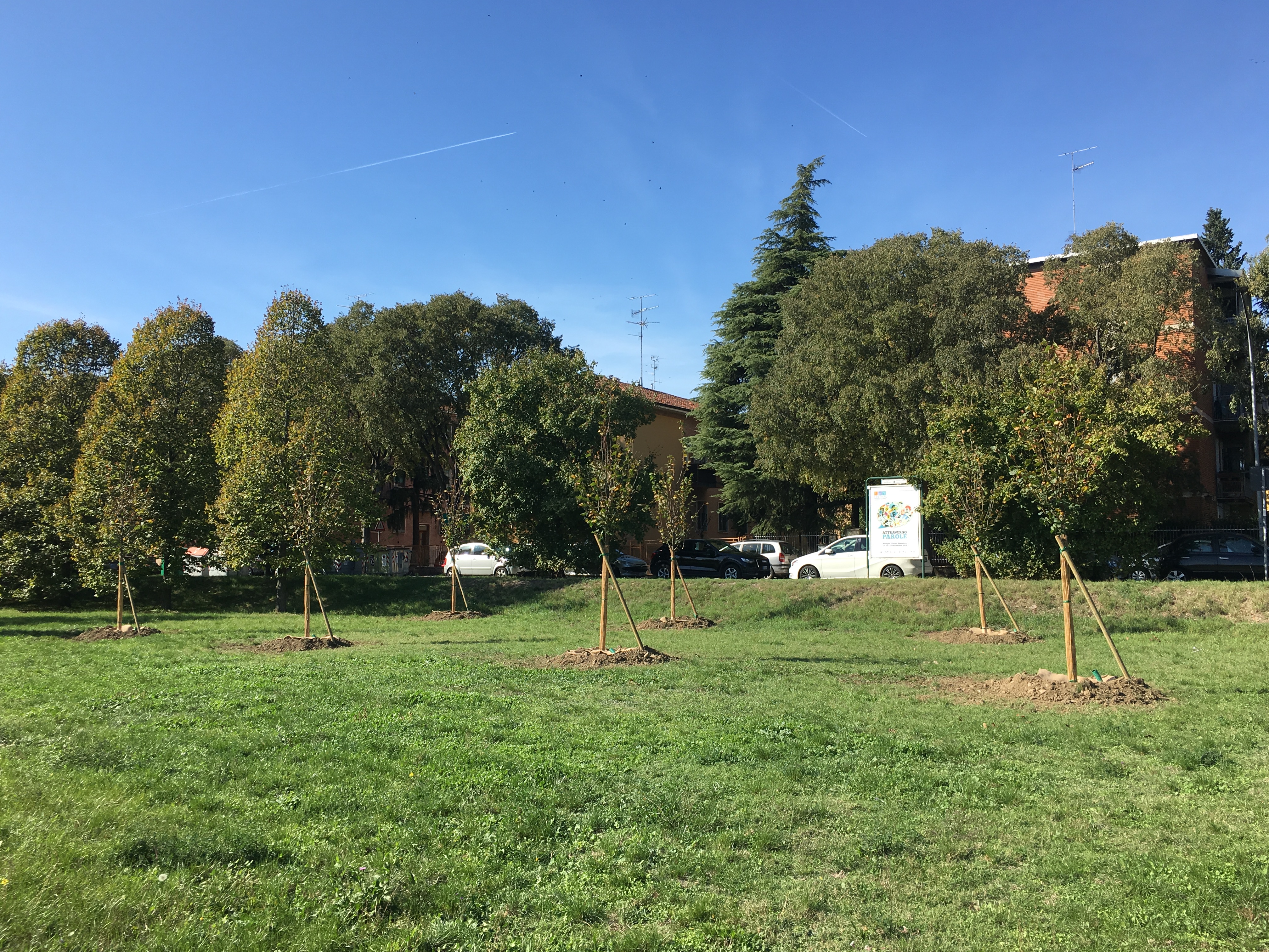 18 Parco Severo Pozzati - post 7 Tilia