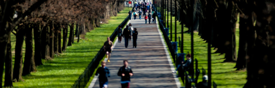 tree-alley-with-pedestrians_articolo