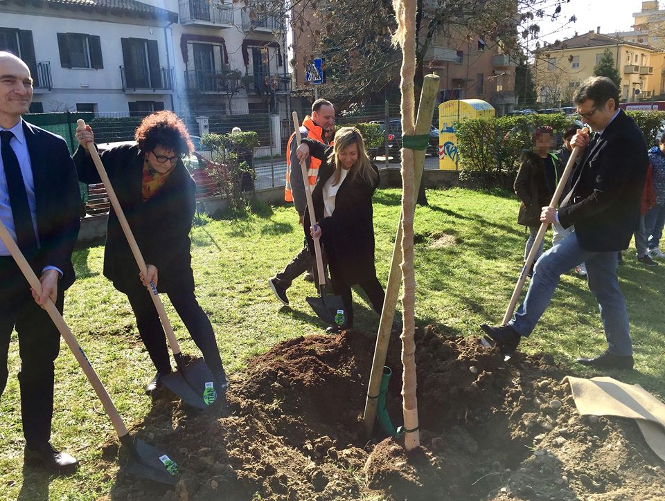 Alberi alle Lipparini low