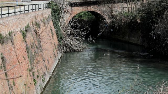 Asportazione vegetazione da manufatti