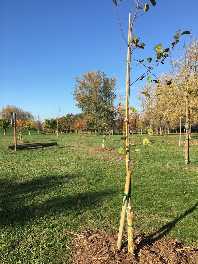 Giardino fenologico