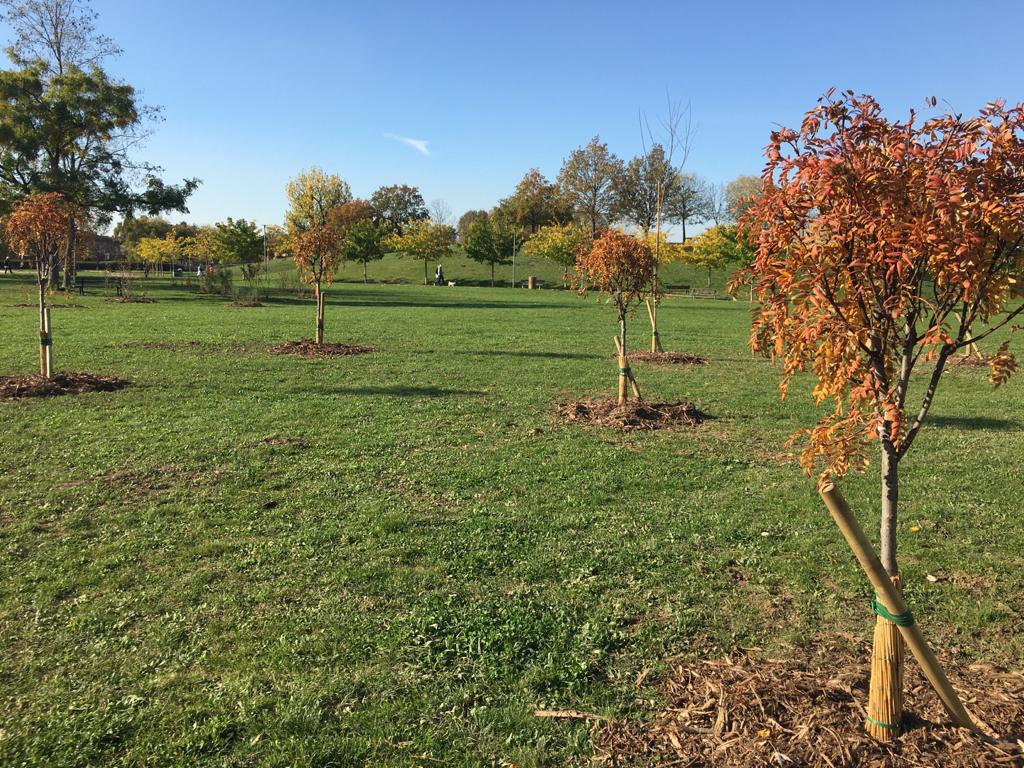 Giardino fenologico2