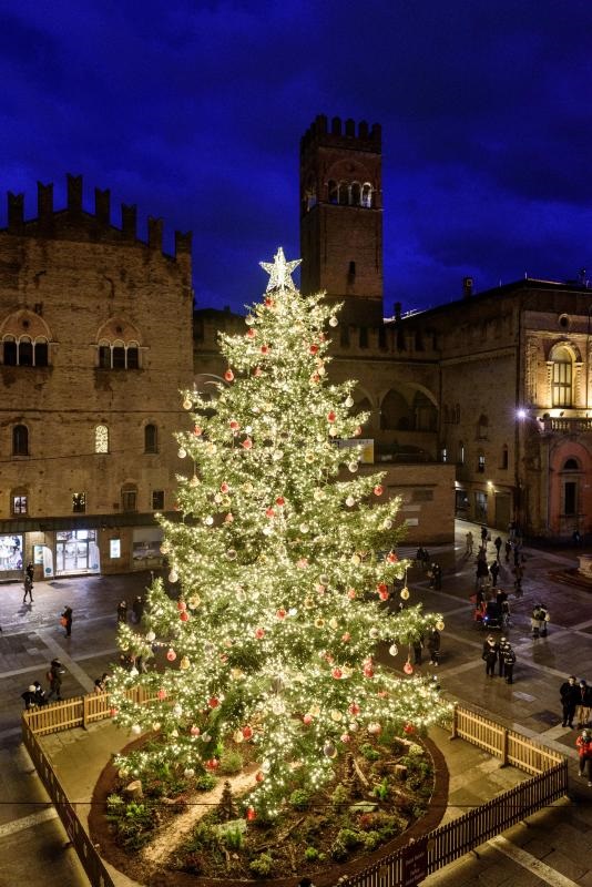 031_04012020_albero_in_piazza_n